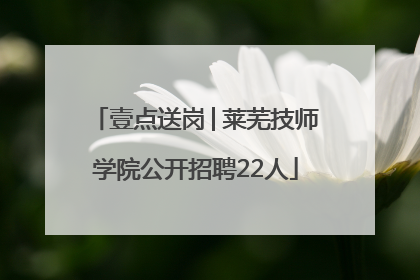 壹点送岗│莱芜技师学院公开招聘22人