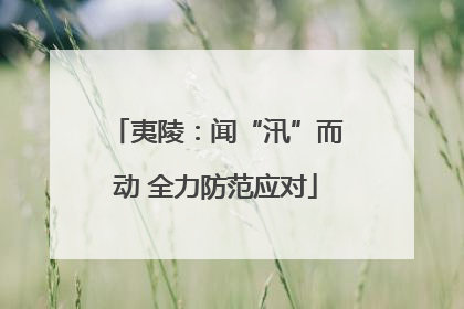 夷陵：闻“汛”而动 全力防范应对
