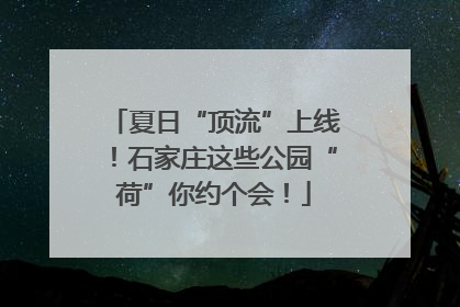 夏日“顶流”上线！石家庄这些公园“荷”你约个会！