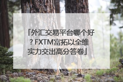 外汇交易平台哪个好？FXTM富拓以全维实力交出高分答卷