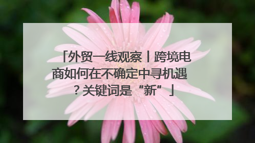 外贸一线观察丨跨境电商如何在不确定中寻机遇？关键词是“新”