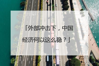 外部冲击下，中国经济何以这么稳？