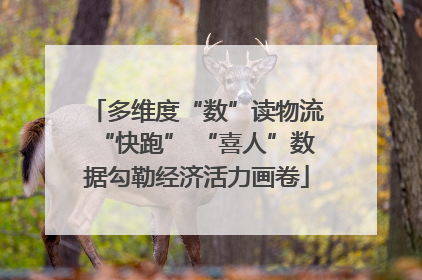 多维度“数”读物流“快跑” “喜人”数据勾勒经济活力画卷
