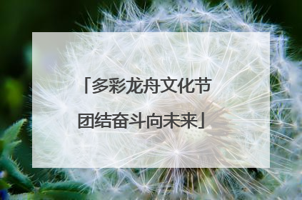 多彩龙舟文化节 团结奋斗向未来