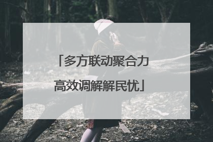 多方联动聚合力 高效调解解民忧