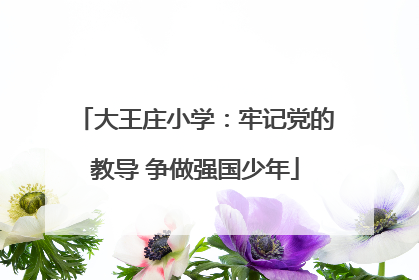 大王庄小学：牢记党的教导 争做强国少年