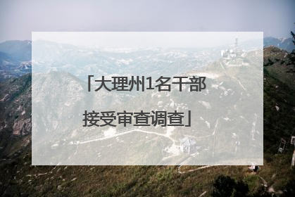 大理州1名干部接受审查调查