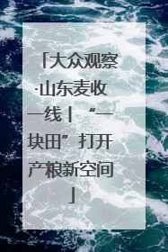 大众观察·山东麦收一线丨“一块田”打开产粮新空间