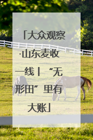 大众观察·山东麦收一线丨“无形田”里有大账