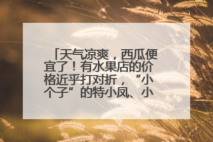 天气凉爽，西瓜便宜了！有水果店的价格近乎打对折，“小个子”的特小凤、小糖丸更好卖
