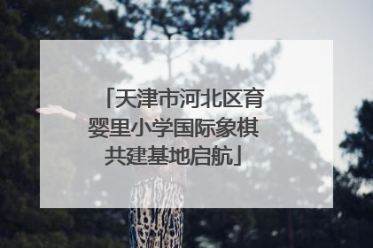 天津市河北区育婴里小学国际象棋共建基地启航