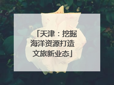 天津：挖掘海洋资源打造文旅新业态