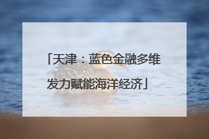 天津：蓝色金融多维发力赋能海洋经济