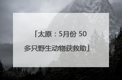 太原：5月份 50多只野生动物获救助