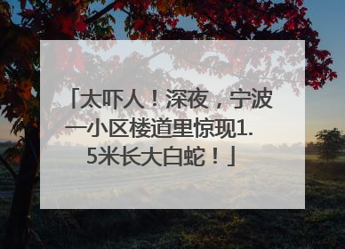 太吓人！深夜，宁波一小区楼道里惊现1.5米长大白蛇！