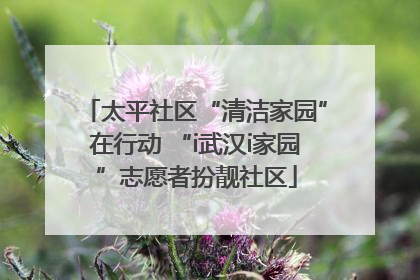 太平社区“清洁家园”在行动 “i武汉i家园”志愿者扮靓社区