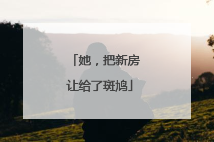 她，把新房让给了斑鸠