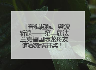 奋楫起航、劈波斩浪——第二届法兰克福国际龙舟友谊赛激情开桨！
