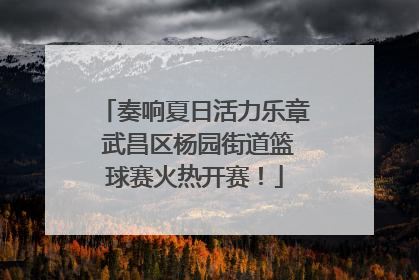 奏响夏日活力乐章 武昌区杨园街道篮球赛火热开赛！