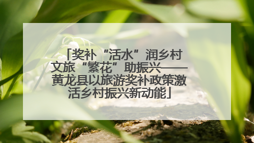 奖补“活水”润乡村 文旅“繁花”助振兴——黄龙县以旅游奖补政策激活乡村振兴新动能