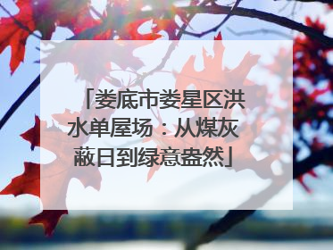 娄底市娄星区洪水单屋场：从煤灰蔽日到绿意盎然