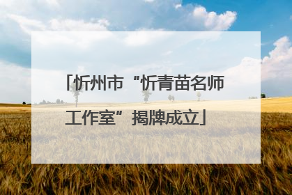 忻州市“忻青苗名师工作室”揭牌成立