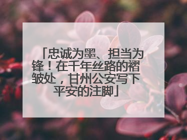 忠诚为墨、担当为锋！在千年丝路的褶皱处，甘州公安写下平安的注脚