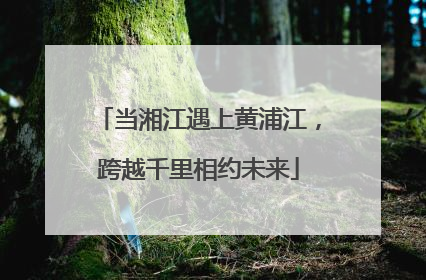 当湘江遇上黄浦江，跨越千里相约未来