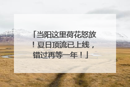 当阳这里荷花怒放！夏日顶流已上线，错过再等一年！