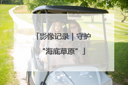 影像记录｜守护“海底草原”