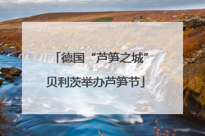 德国“芦笋之城”贝利茨举办芦笋节