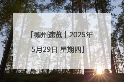 德州速览丨2025年5月29日 星期四