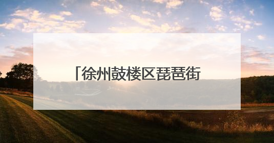 徐州鼓楼区琵琶街道：医保政策进社区 惠民服务零距离