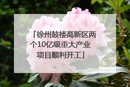 徐州鼓楼高新区两个10亿级重大产业项目顺利开工