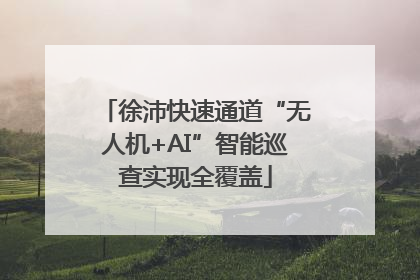 徐沛快速通道“无人机+AI”智能巡查实现全覆盖