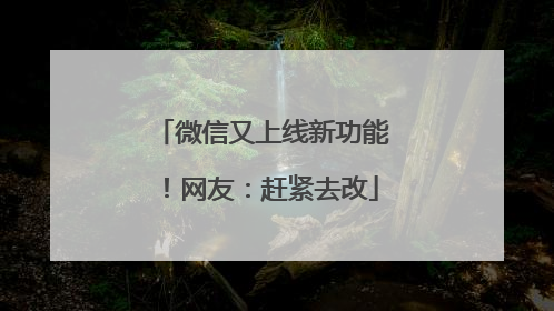 微信又上线新功能！网友：赶紧去改