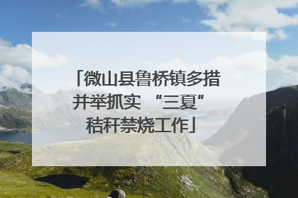 微山县鲁桥镇多措并举抓实 “三夏” 秸秆禁烧工作
