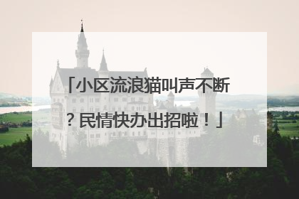 小区流浪猫叫声不断？民情快办出招啦！