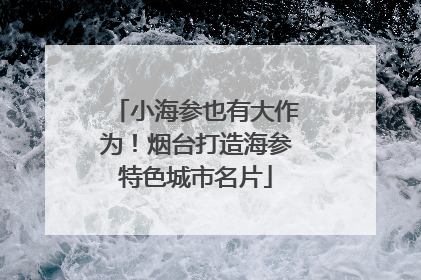 小海参也有大作为！烟台打造海参特色城市名片