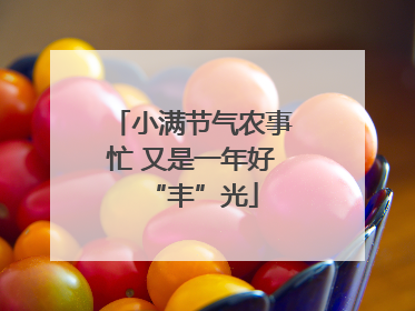 小满节气农事忙 又是一年好“丰”光