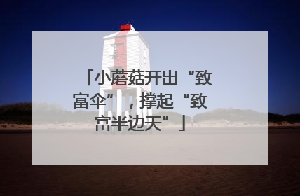小蘑菇开出“致富伞”，撑起“致富半边天”