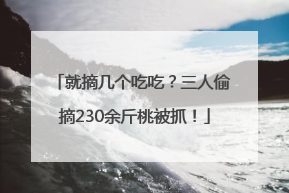 就摘几个吃吃？三人偷摘230余斤桃被抓！