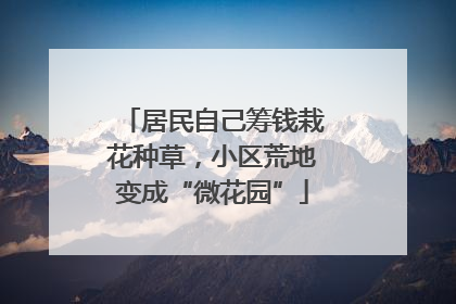 居民自己筹钱栽花种草，小区荒地变成“微花园”