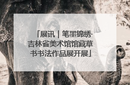 展讯｜笔墨锦绣·吉林省美术馆馆藏草书书法作品展开展