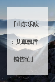 山东乐陵：艾草飘香销售忙