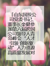 山东国投公司党委书记、董事长栾健参加第六届跨国公司领导人青岛峰会“人才引领 创新驱动”人力资源高质量发展对话会