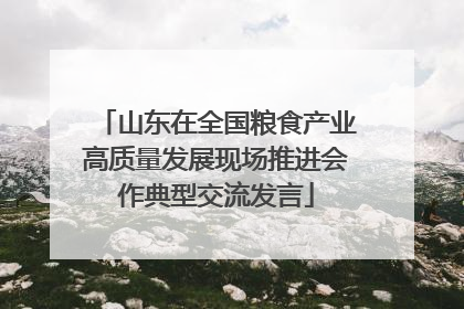 山东在全国粮食产业高质量发展现场推进会作典型交流发言