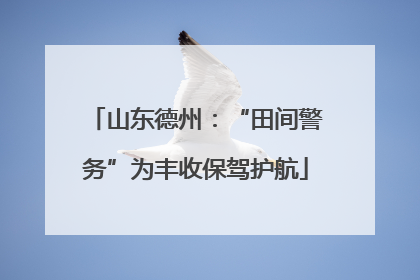 山东德州：“田间警务”为丰收保驾护航