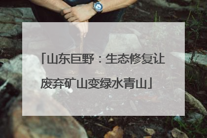 山东巨野：生态修复让废弃矿山变绿水青山