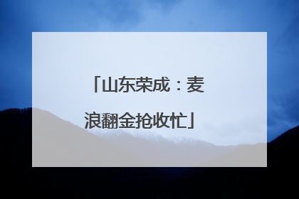 山东荣成：麦浪翻金抢收忙